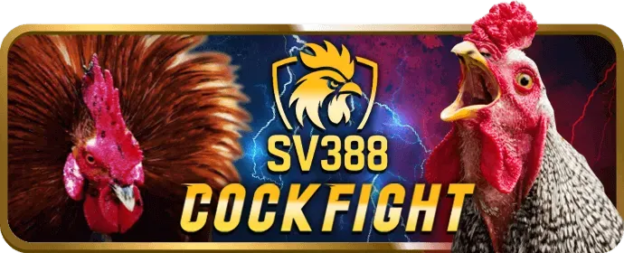 Phân tích ưu đãi mới nhất 5699win